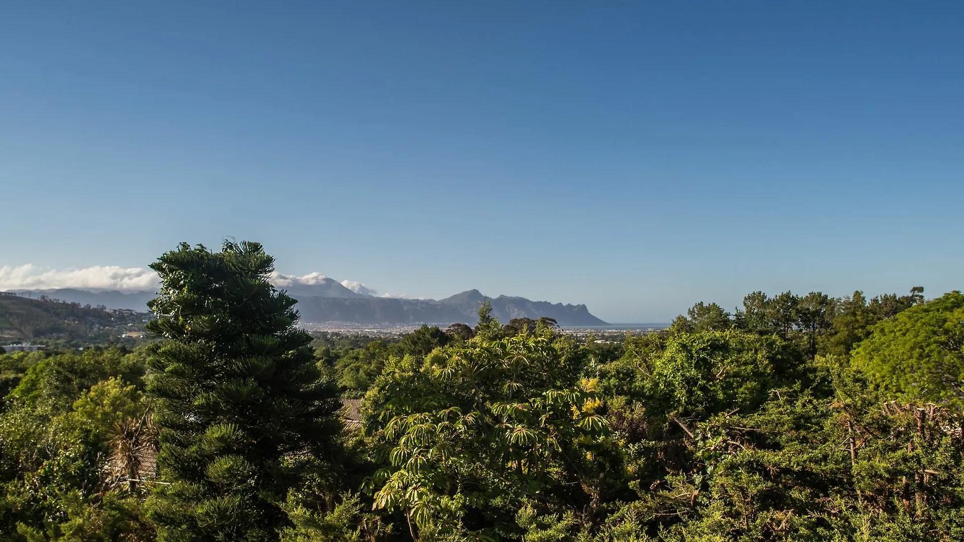 Boutique Villa Guesthouse Somerset West Guest house